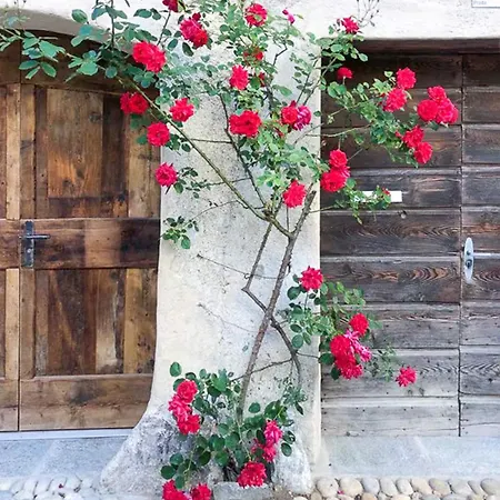 民宿 Ca Da L'albina 波斯基亚沃